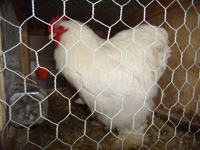 P3210698