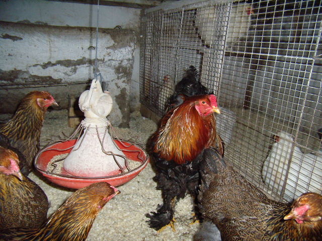 P3210701