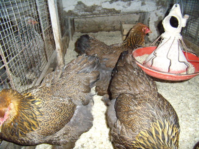 P3210702