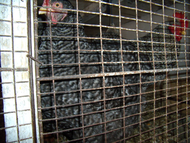 P3260721