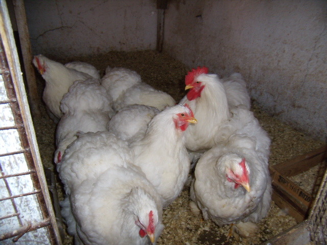 P3260727