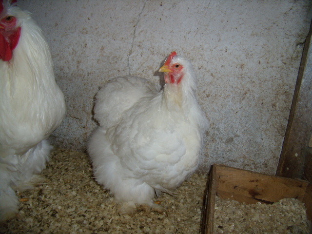P3260732
