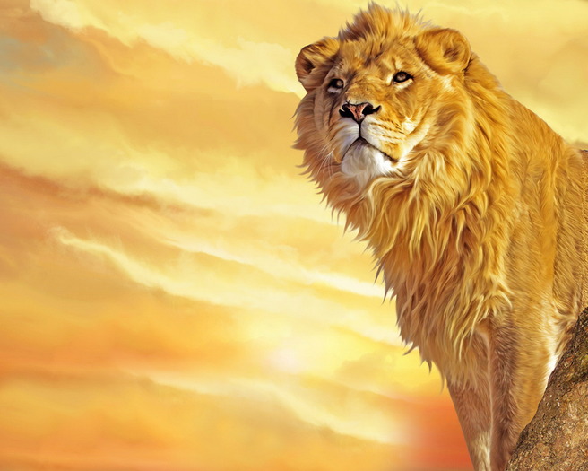 The%20Lion%20King%20of%20The%20Animals%20Jungle - Wallpapersuri