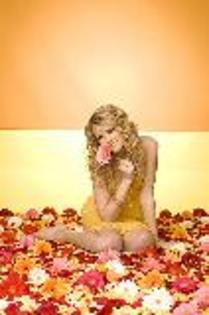 taylor-swift_2 - album pentru anap