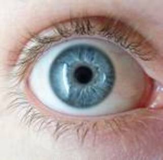 CAODYLP6 - ochi albastri
