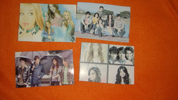 Copy of DSC02208 - 1 Lucrurile mele cu Hannah Miley Jonas Demi si Selena