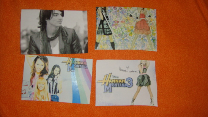 Copy of DSC02211 - 1 Lucrurile mele cu Hannah Miley Jonas Demi si Selena