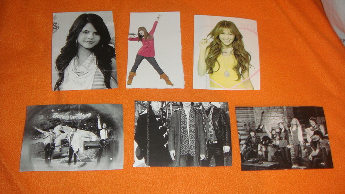 Copy of DSC02213 - 1 Lucrurile mele cu Hannah Miley Jonas Demi si Selena