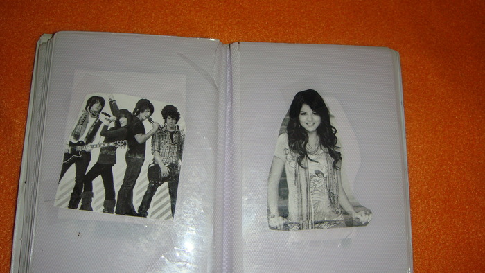 Copy of DSC02239 - 1 Lucrurile mele cu Hannah Miley Jonas Demi si Selena