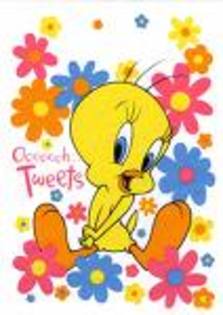 CAR6M9F3 - tweety