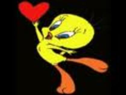 SCDPBFQBFORZLMJHBTJ - tweety