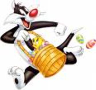 XBHGHZZSURNWXZMFGJV - tweety