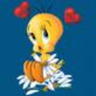 XPXHSTEFXFJLVNGLYKJ - tweety