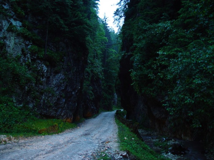 peisaje-munte-romania-muntii-carpati-294 - plata pt hotelpiatradecristal