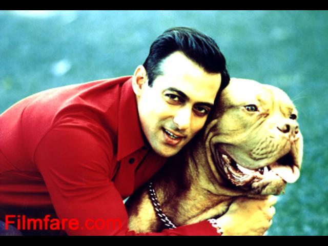 salman khan11 - Salman Khan