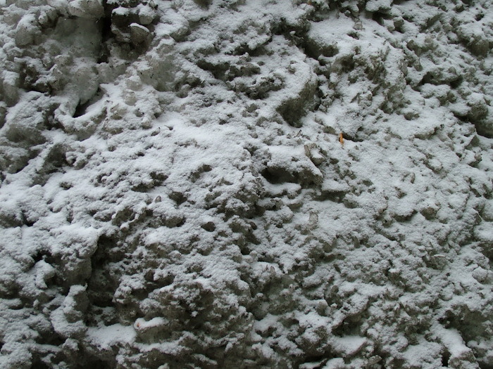 Snow (3)