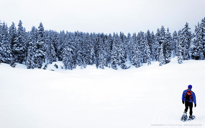 Snow (31) - Snow Wallpapers