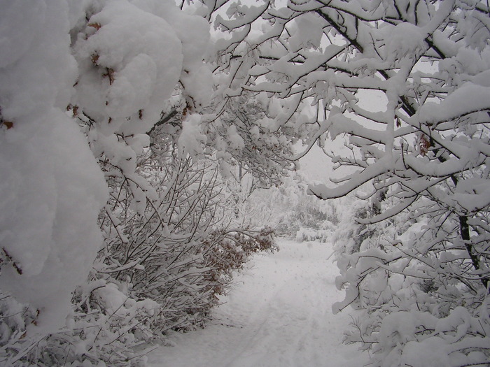 Snow (43) - Snow Wallpapers