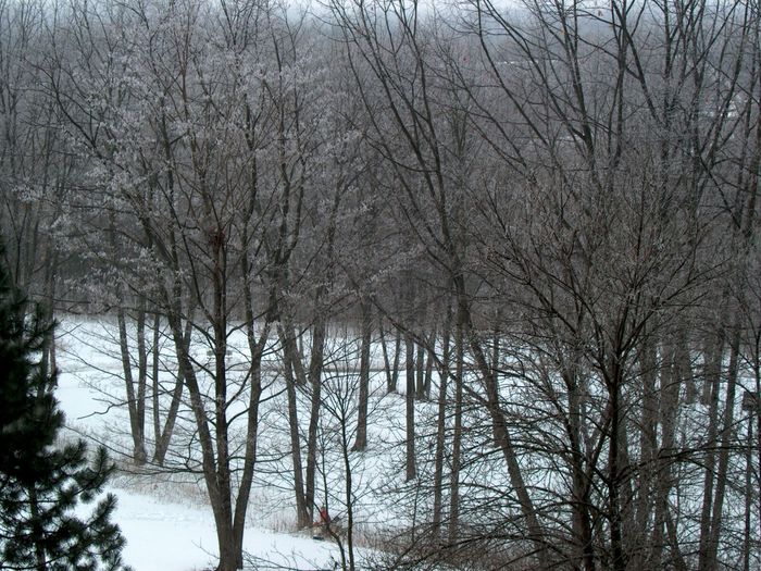 Snow (49) - Snow Wallpapers