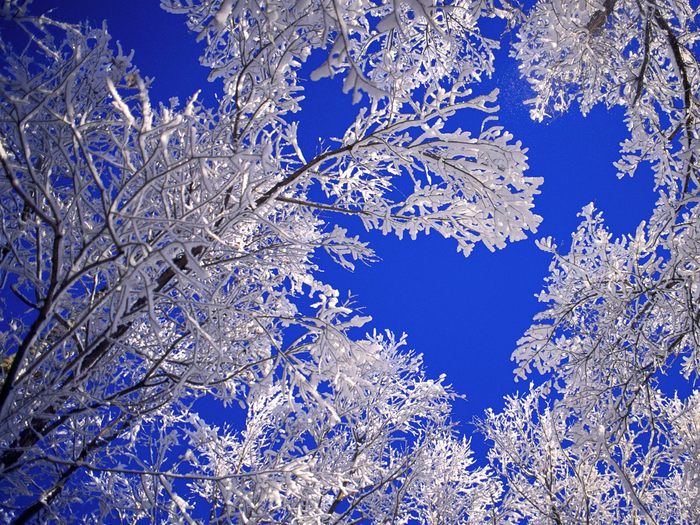 Snow (56) - Snow Wallpapers