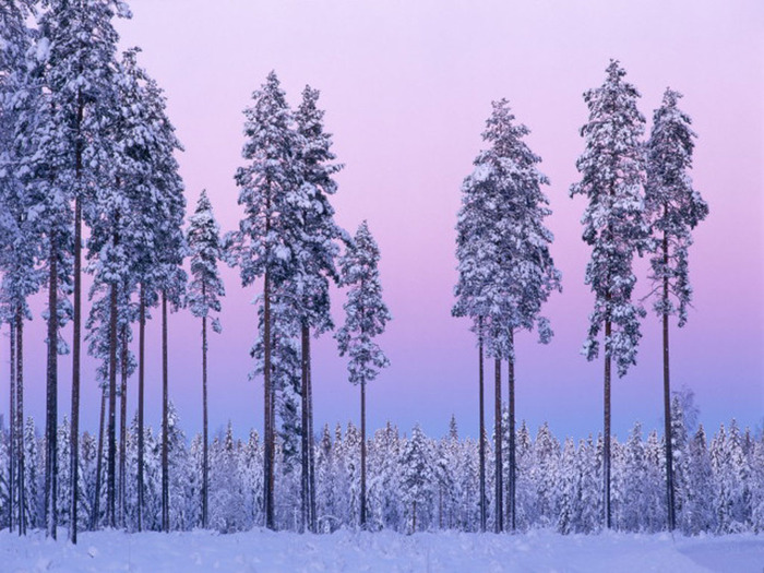 Snow (59) - Snow Wallpapers