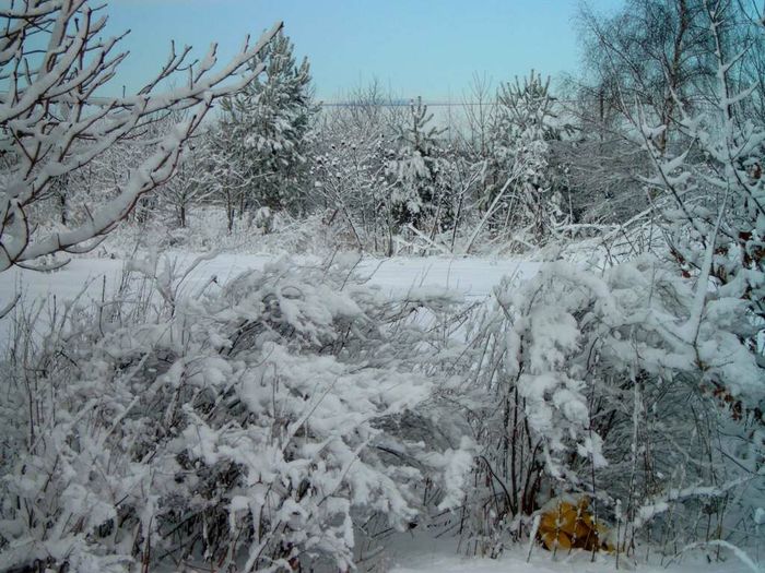 Snow (61) - Snow Wallpapers