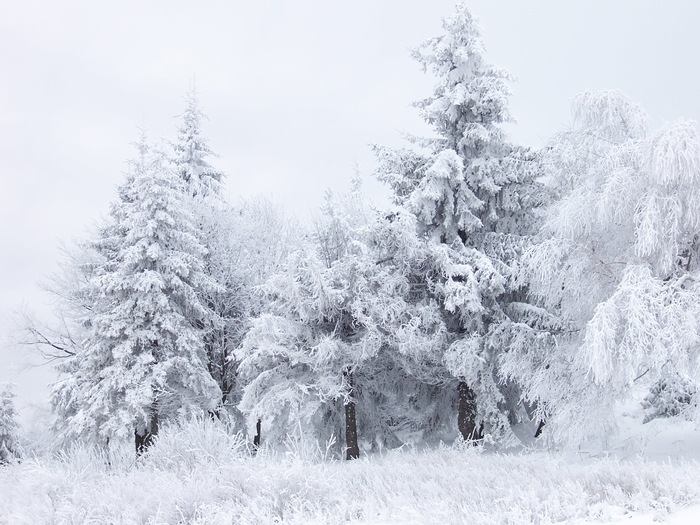 Snow (108) - Snow Wallpapers