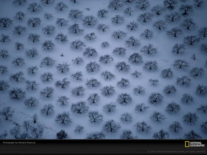 Snow (109) - Snow Wallpapers