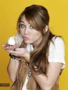 TBBQKERQYYTAWJGTCKI - Miley Cyrus-sedinta foto 1