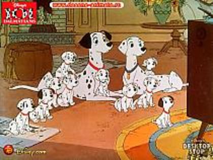 1 - 101 dalmatieni