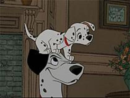 8 - 101 dalmatieni