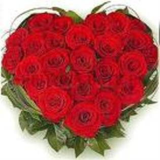 imagesCA9S7M6A