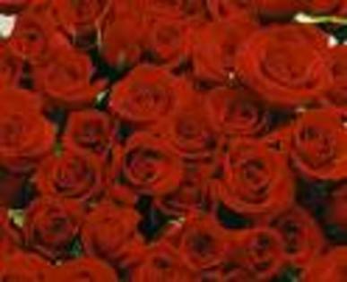 imagesCA19W97F