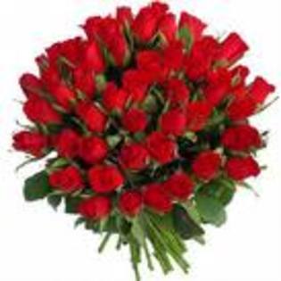 imagesCAF577DC