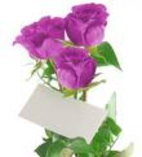 imagesCAY5PC38