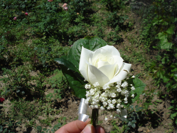 floare piept trandafir alb - flori mire nasi buchete de mireasa nasa si aranjamente Cristelnita Botez
