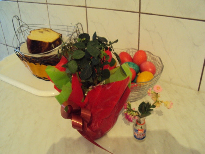 kalanchoe de la meme