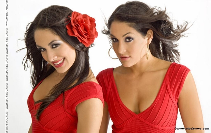 3 - bella twins