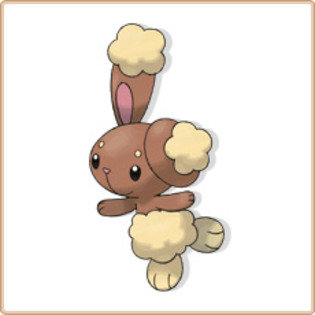 427 - Toate pozele mele din calc