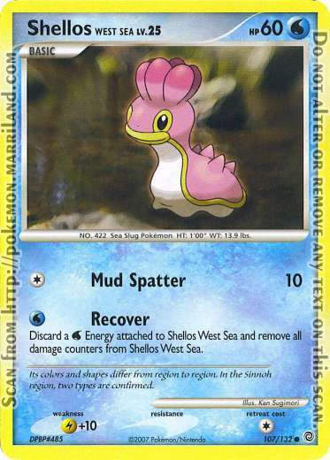 sw_107_shellos_west_sea