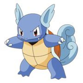 wartortle