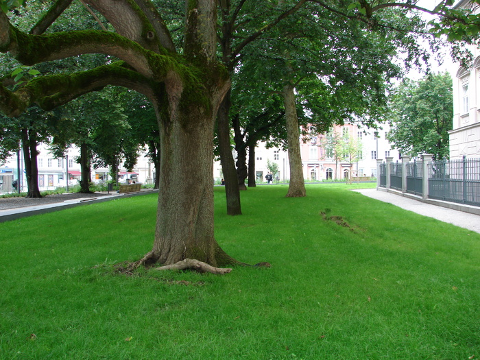 Green (2009, June 29); Linz, Austria.
