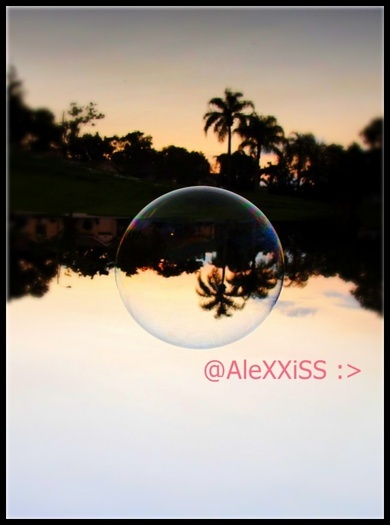 ALEXXISS:> - Diverse x3