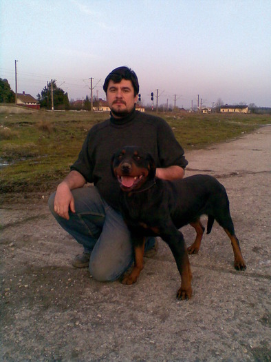  - Rottweiler