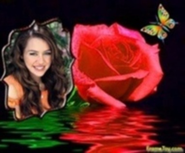 ARKNHFZDONITNDRJEFF - 0-poze rare miley selena ashley si demi-0