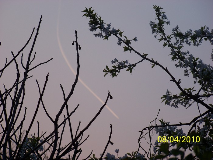 100_4948 - 6-9 Aprilie 2010