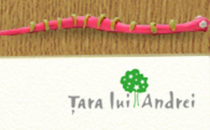 taraluiandreiro - Prima mea calatorie in tabara Tara lui Andrei