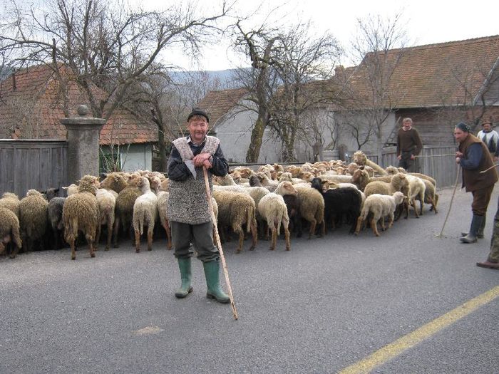 Husvet-prietenul meu Marci - 1animale ce cresc alatok a mit most tartok