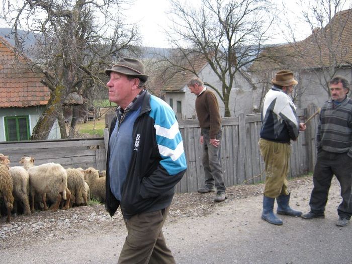 Husvet- Mozi bacsi es reszt vesz - 1animale ce cresc alatok a mit most tartok