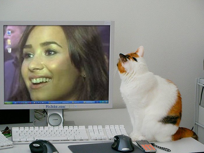 6-en-6d8f8d8d36d24ad208d83fb1dd0b3edb - aici va arat cat de mult o iubesc pe demi lovato